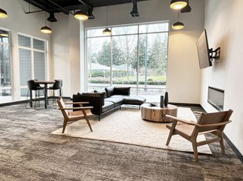 a living room with a couch and chairs and a television at The Duo, Washington